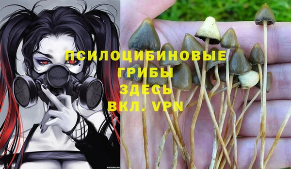 крисы Алексеевка