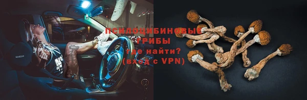 крисы Алексеевка