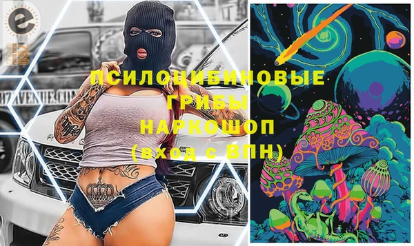 крисы Алексеевка