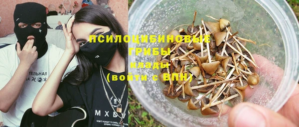 прущие грибы Алексин