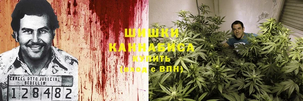 прущие грибы Алексин