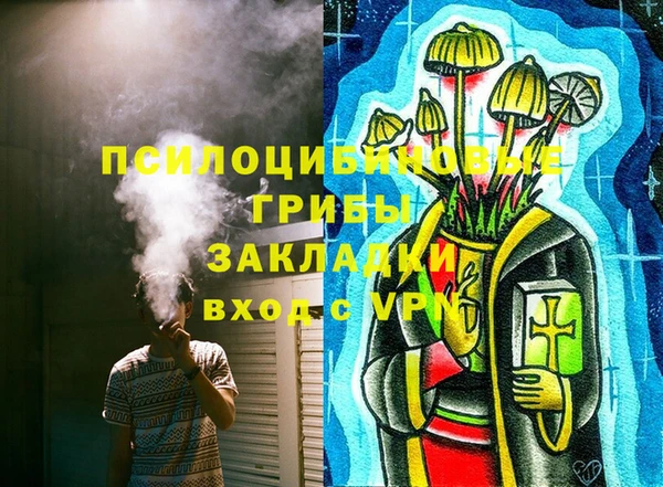 прущие грибы Алексин