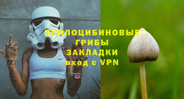 ешки Алзамай